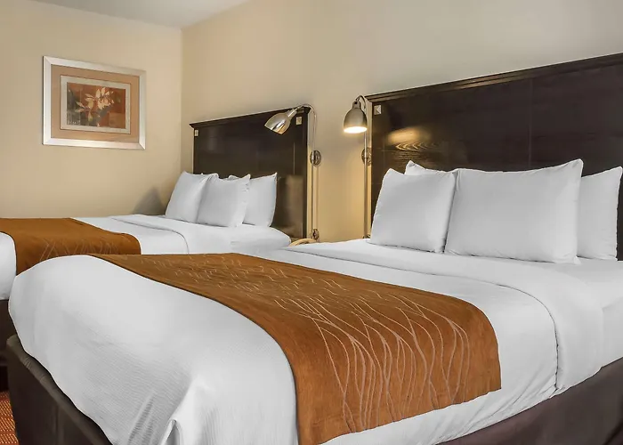 Comfort Inn & Suites Laguardia Airport